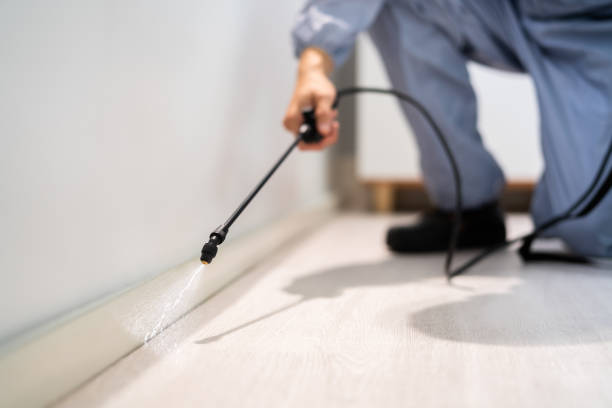 Bed Bug Pre-Treatment Preparation Assessment in Gray