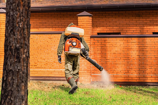 Bed Bug Clearance Verification and Documentation in Gray
